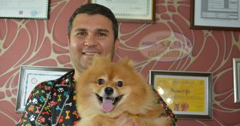 boncuk_animal_club_foto_8